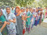 jind local election, bamper voting