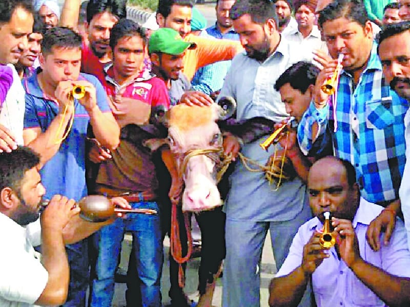 protest by parents, protest against schools, ludhiana