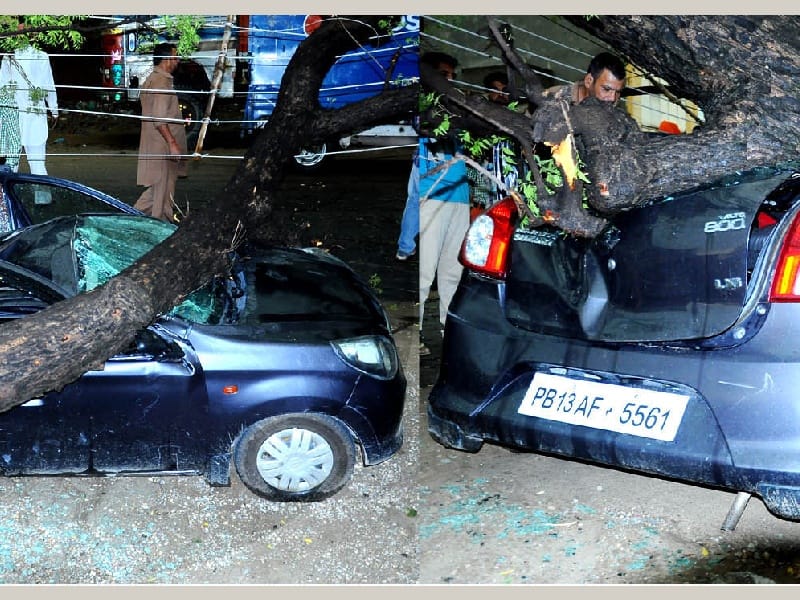eavy rain, storm, life was affected, Sangrur