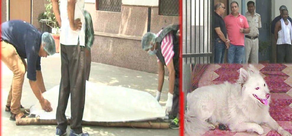 Cricketer Ajay Sharma's brother died in mysterious circumstances, old dog barks near the body