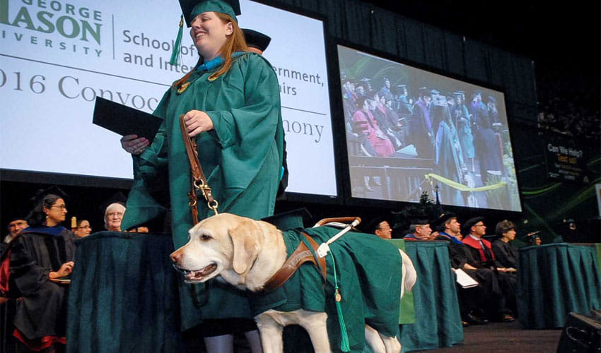 10 animals with their degrees