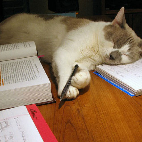 10 animals with their degrees