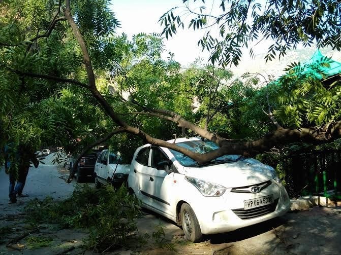 storm in himachal, big loss to crops and houses, one died.