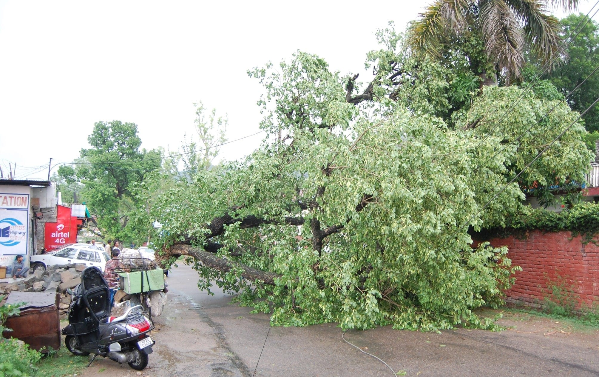 storm in himachal, big loss to crops and houses, one died.