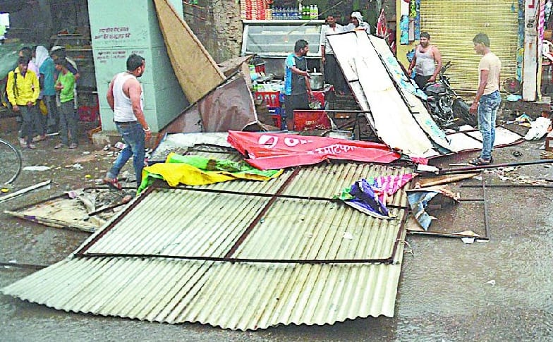 Storm uprooted trees, fallen mango