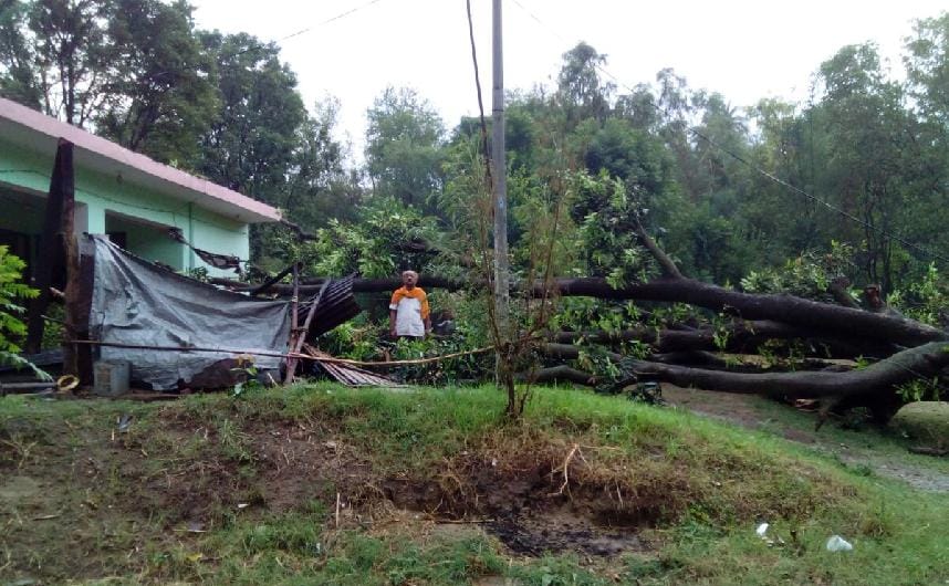 storm in UNA, heavy loss