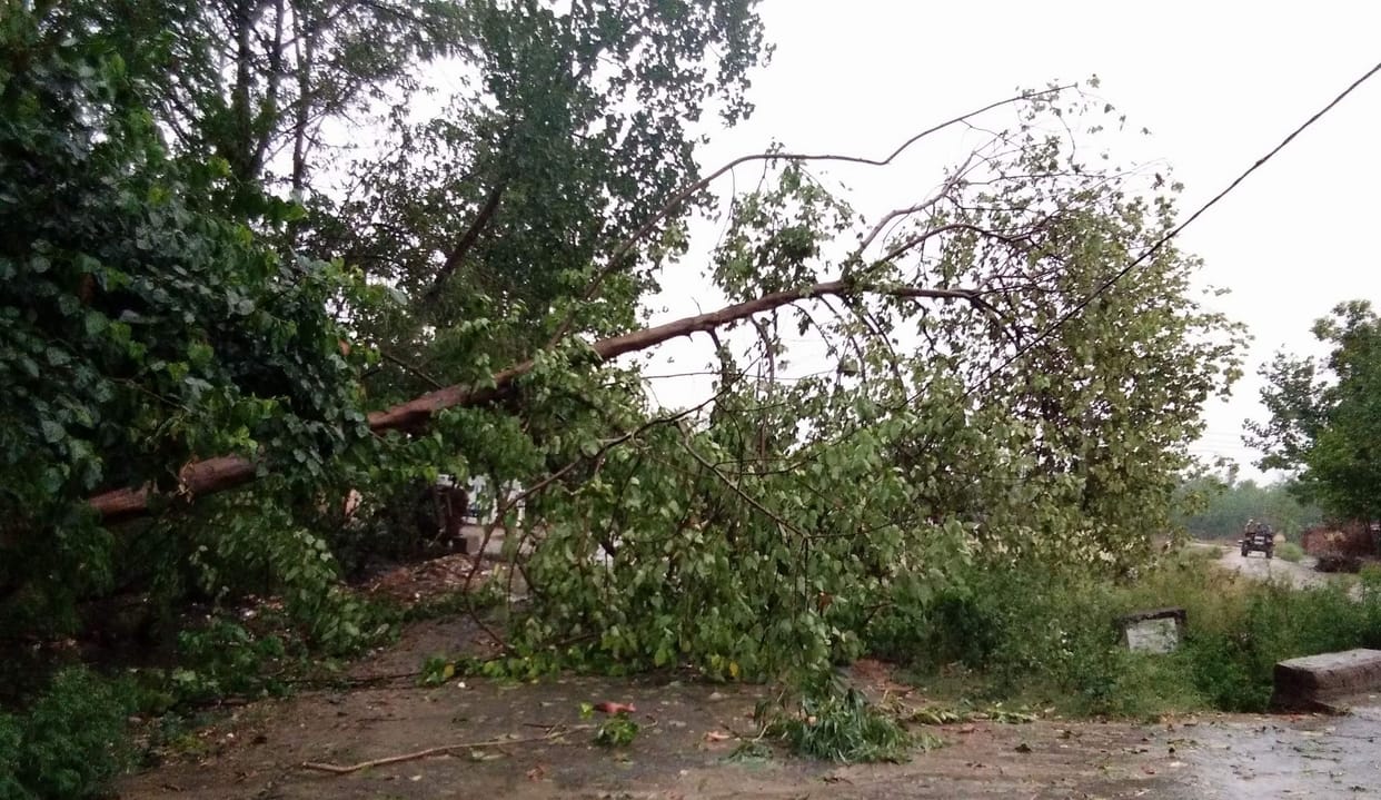 Strong winds from the devastation caused three deaths, many injured