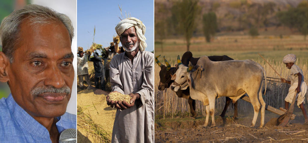 This Farmer's Zero Budget Natural Farming Model bringing fortune