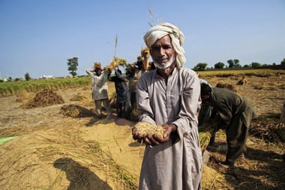 This Farmer's Zero Budget Natural Farming Model bringing fortune