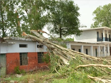 mant houses roof fall, and tree fall 