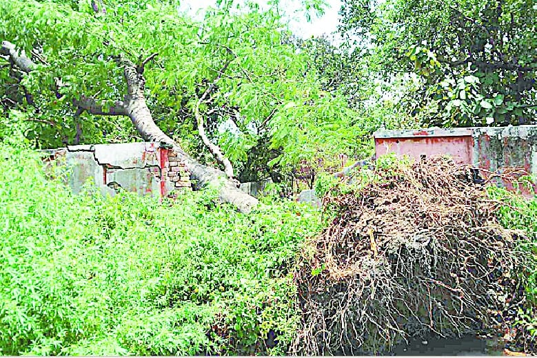 Blowing in Muzaffarnagar