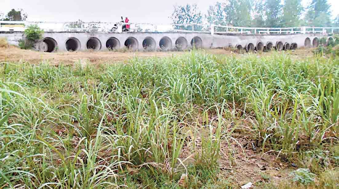 river in 42 village