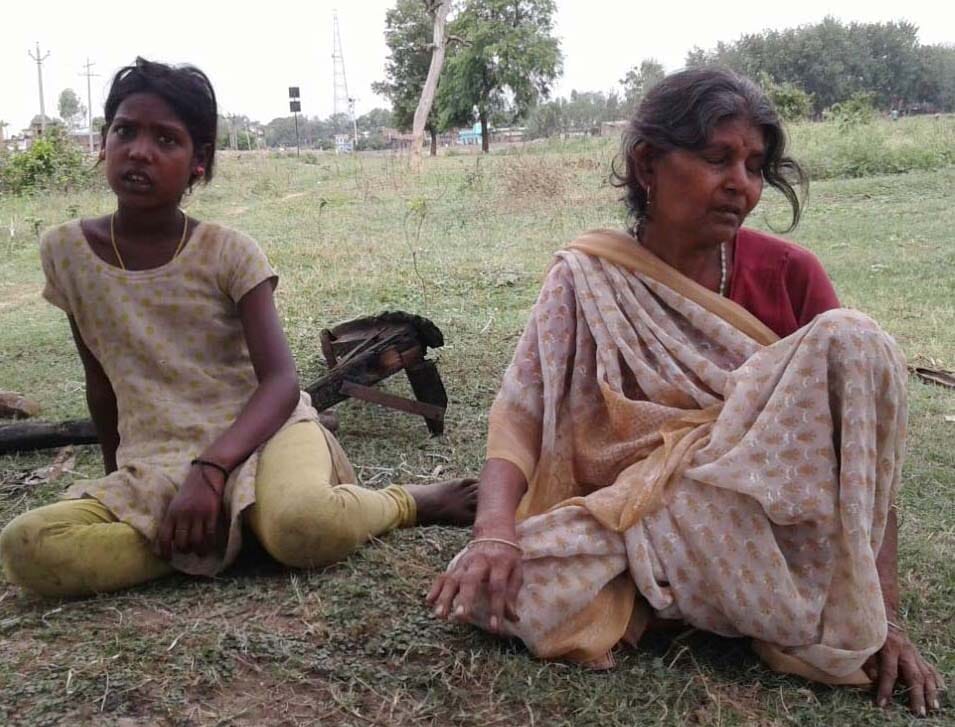 Dairy owner shedding Fire, four cattle dead