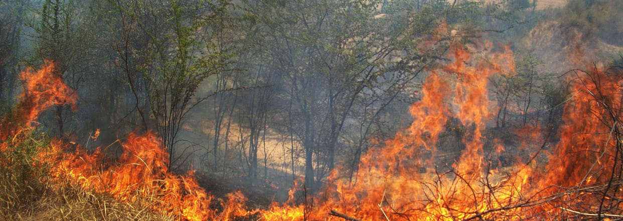 Fire in Chambal area.