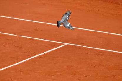 stan wawrinka won his match in french open