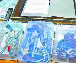 Four jof interregional gang nabbed