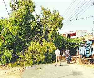 Storm-water Catastrophe, five deaths