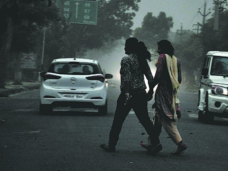 rain and strom, mohali, trees, damege, weather cool