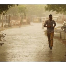 Rain in hisar, power switch off, hindi news, hisar