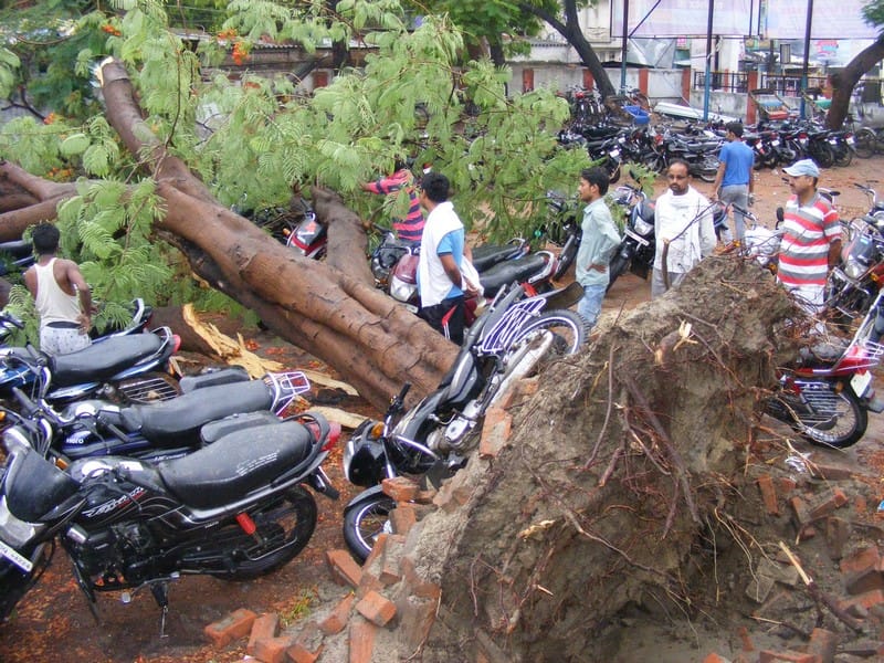 Rain storm devastation suffered huge losses