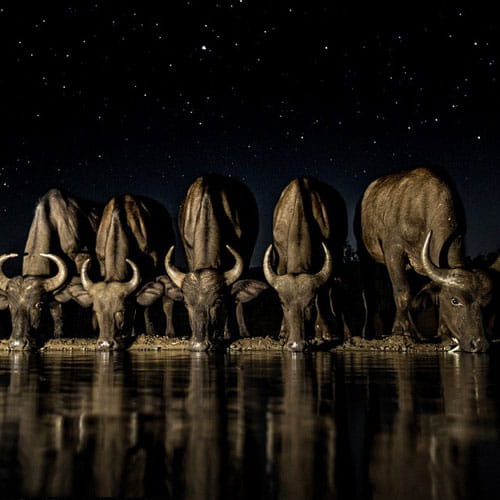 amazing photos got national geographic travels award