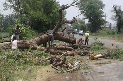 Broken trees and poles in the storm, power supply halt