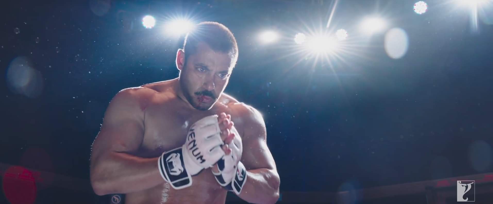 सुल्तान ट्रेलर 