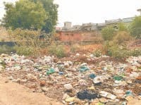 The continuing use of polythene on the environment, heavy