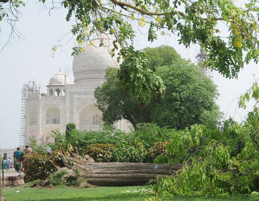 taj mahal11