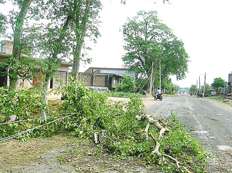 Broken electric pole 76, 350 villages without electricity