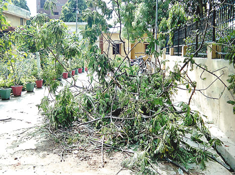 six people killed in Storm 
