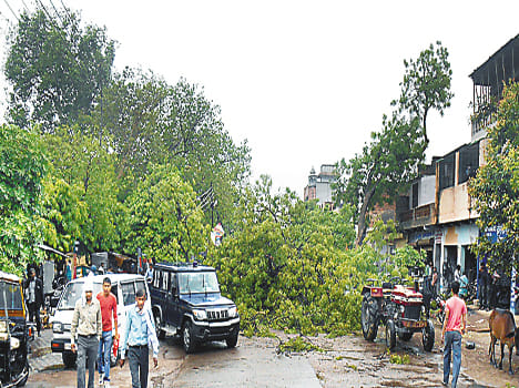150 km per hour wind strom ruined everything
