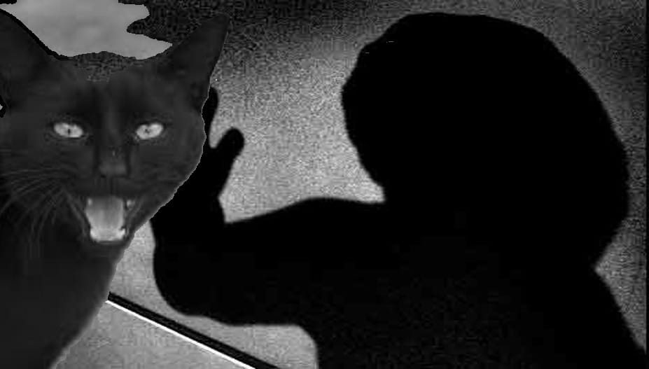 Mahendra Park area murder eyewitness kicked three bullets in the chest, death
