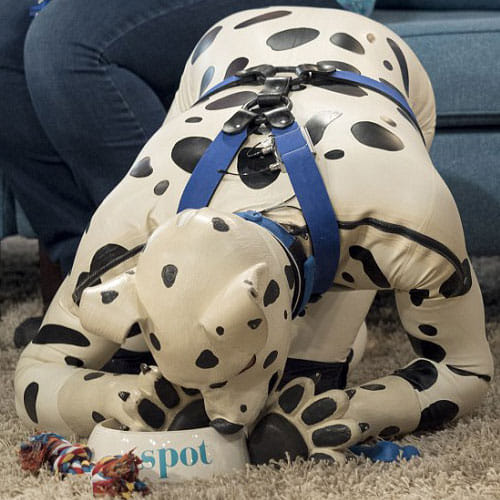 Man who enjoys dressing as a DOG
