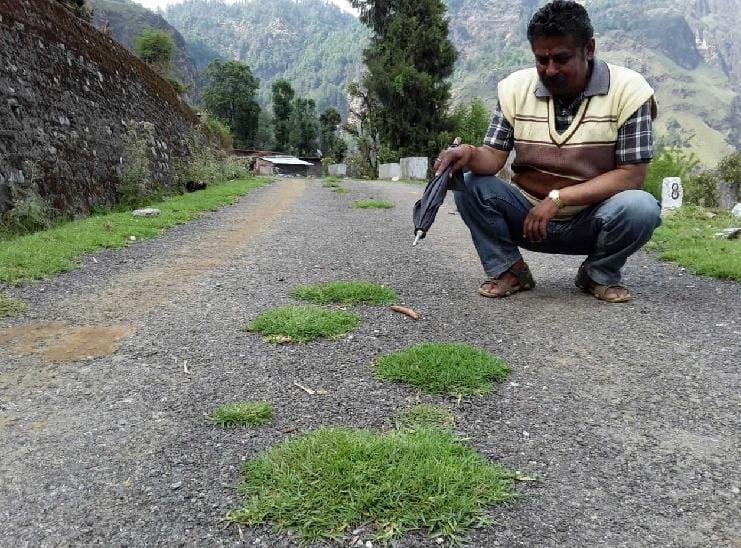 Soil under the asphalt on the road, the grass grew