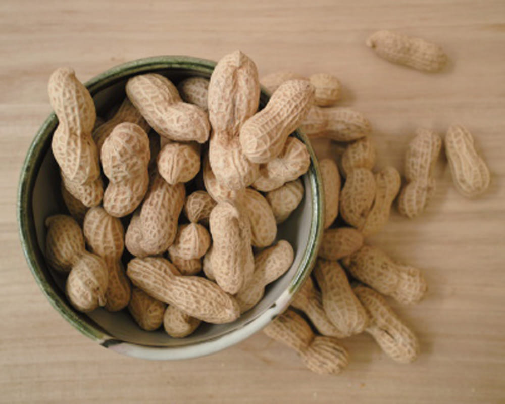 interesting facts about food you eat daily
