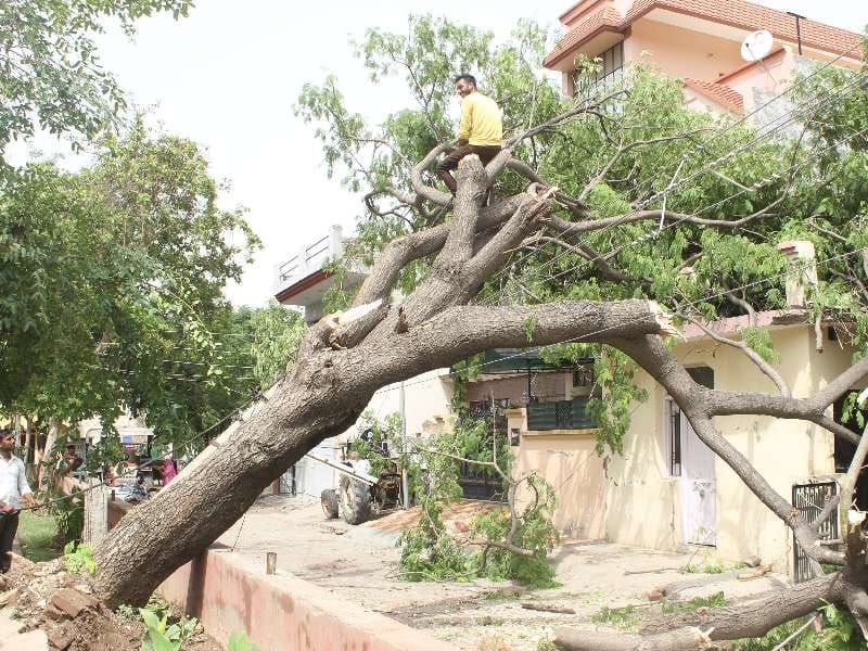 heavy storm in panchkula, heavy rain in, electricity poll falling in panchkula, panchkula weather, 