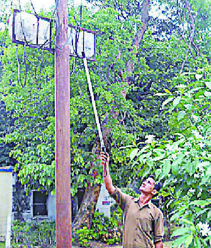 The current in the death of eight monkeys Kalagdh