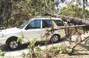 Many places fallen trees, electricity and water cuts