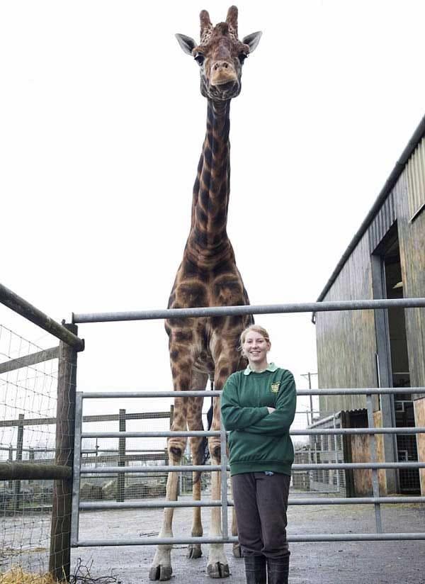 tallest things in the world