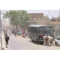 sirsa, hindi news, theeed, sirsa