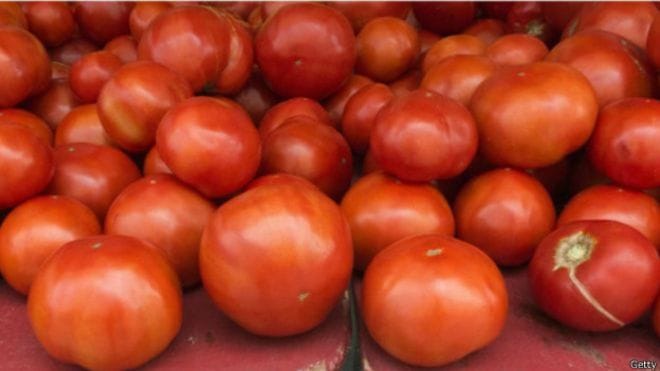 tomato emergency in Nigeria 
