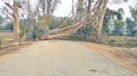 heavy wayes stoped speed of life