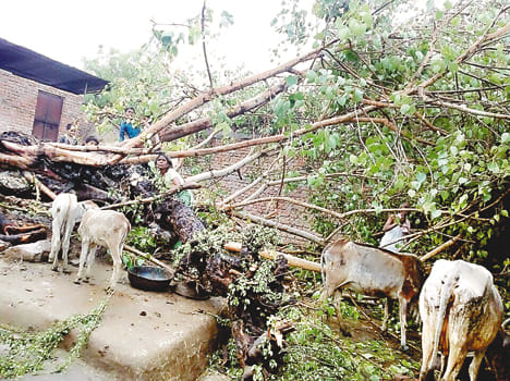 Devastation caused by storm water