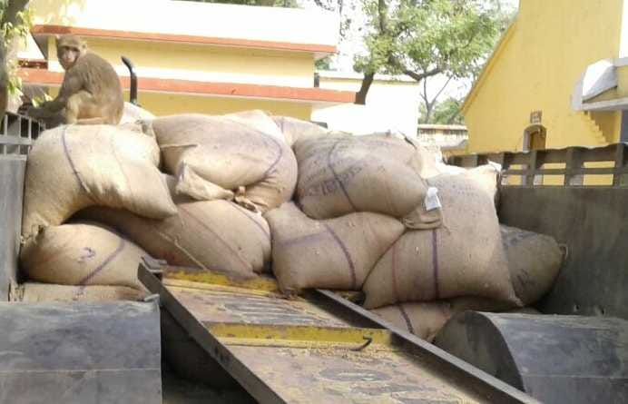 Rations were sold on commission 32 bag of grain caught