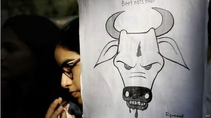 no ban on beef