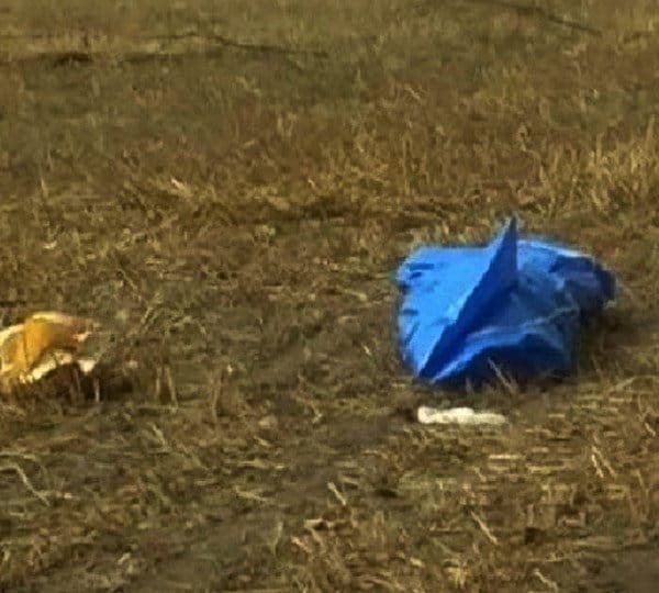 boy head cut dead body found in jhajjar village of haryana