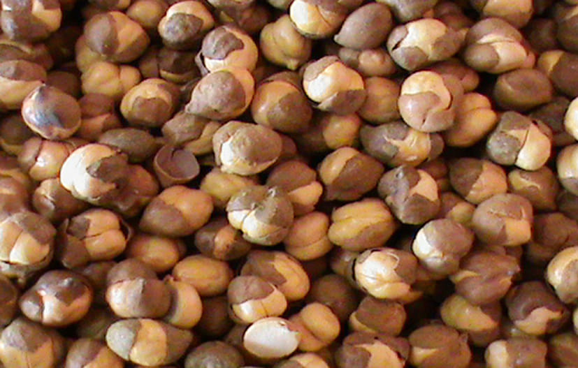 Chana has disappeared from the market.
