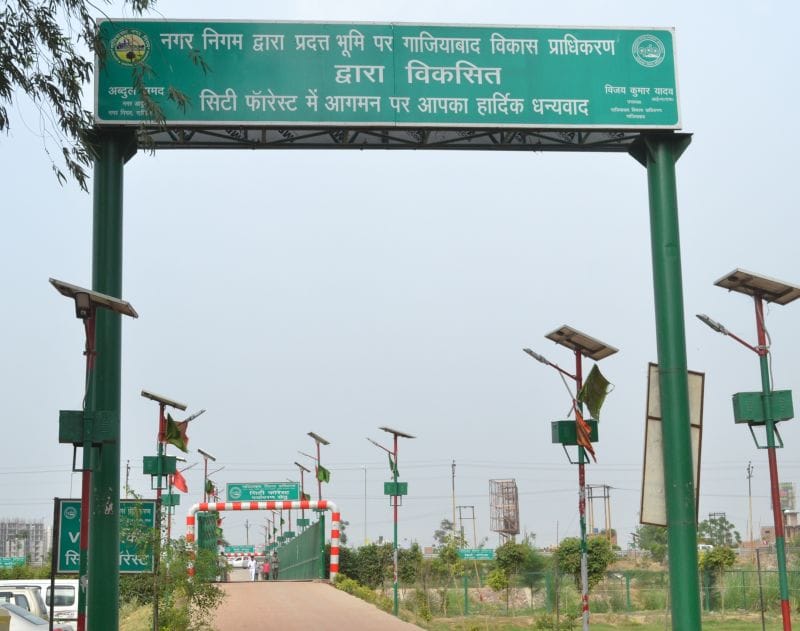 Are buzzing with tourists City Forest