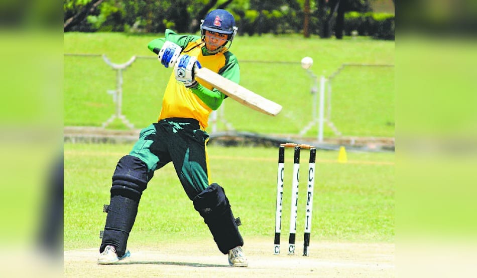 Uttarakhand will make bat villo tree for cricketers